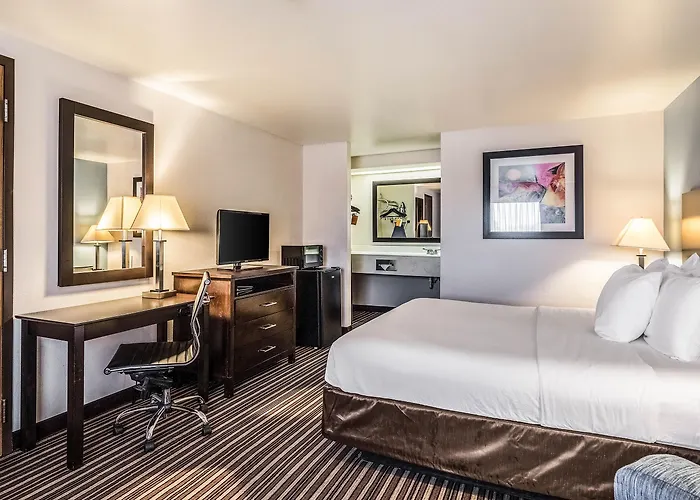 Quality & Hotel 4*