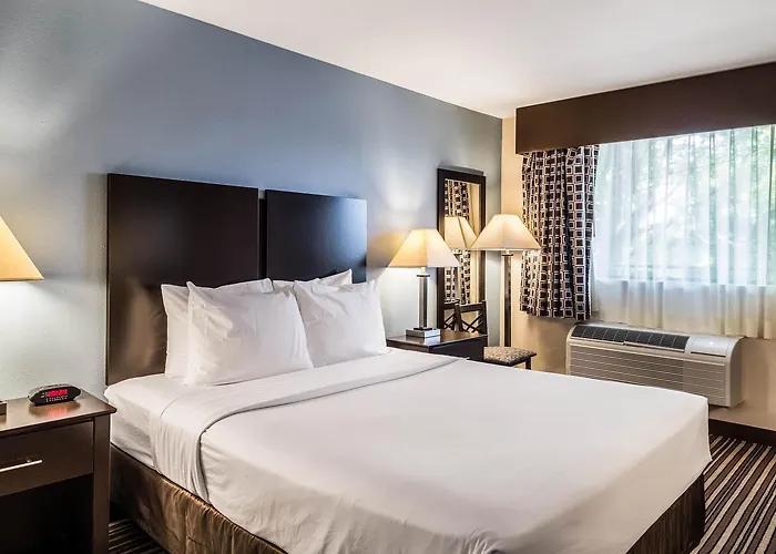 Quality & 4* Round Rock