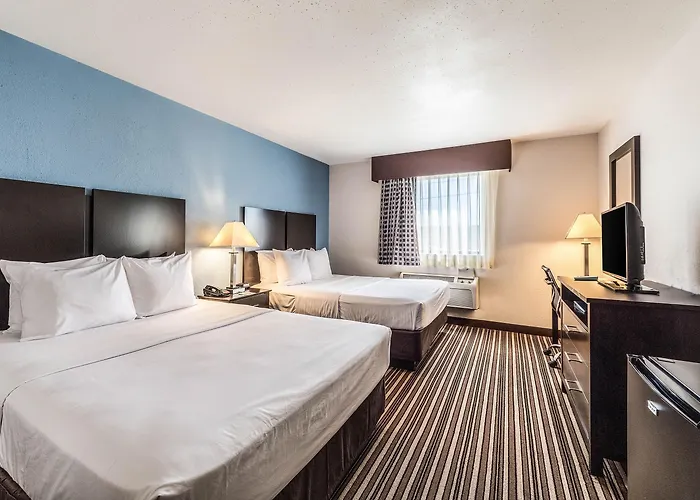 Quality & Hotel