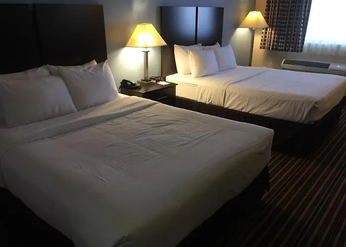Quality & Hotel