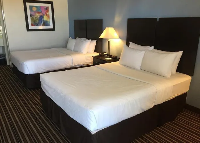 Hotel Quality & 4*