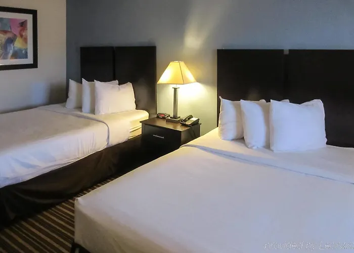 Quality & Hotel