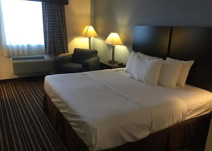 Quality & Hotel